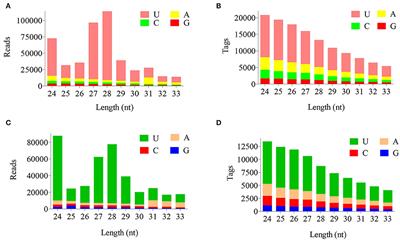 Expression characteristics of piRNAs in ovine luteal phase and follicular phase ovaries